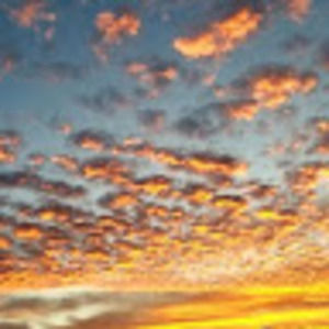 Meet your Posher, Liz